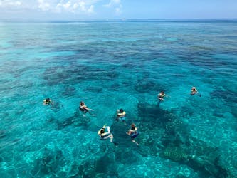 Vela para mergulho com snorkel ao pôr do sol de Key West
